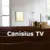Content Provider