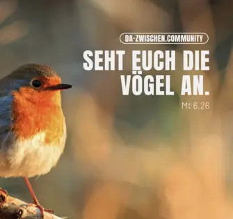 Titelbild